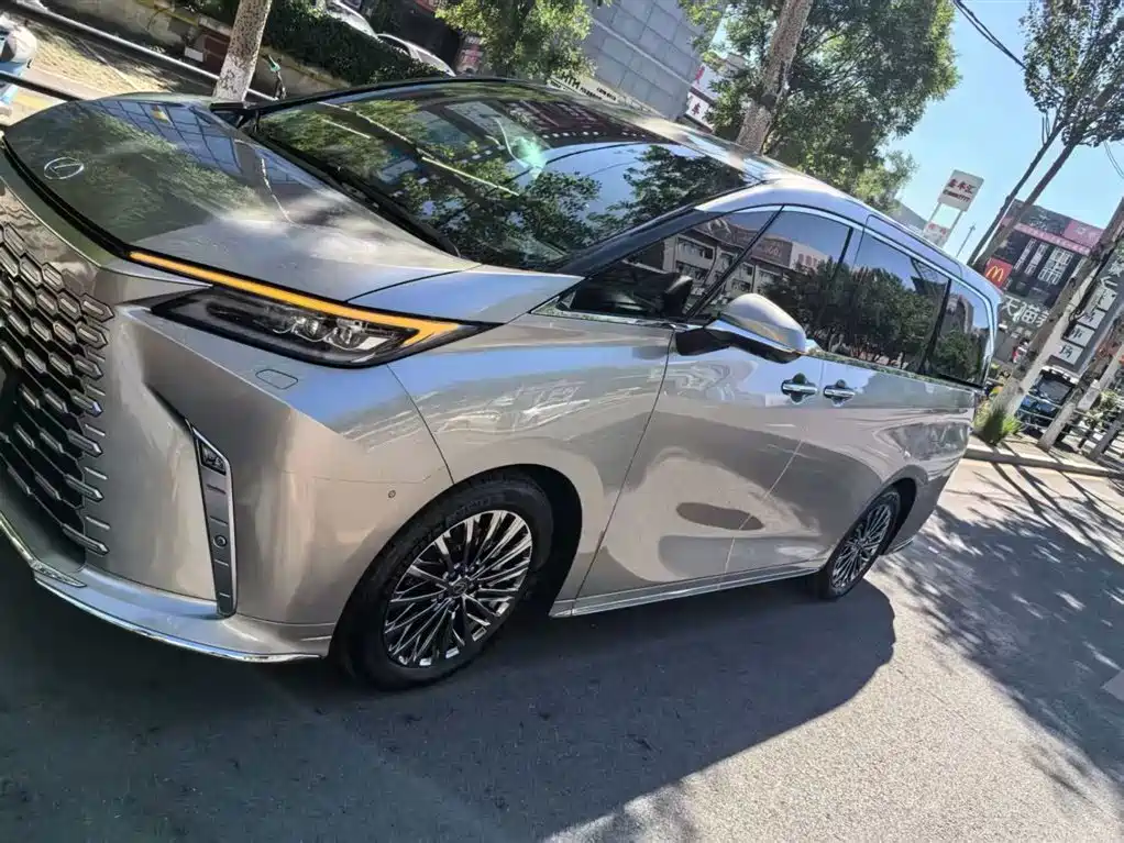 Lexus LM 2025 500h мест