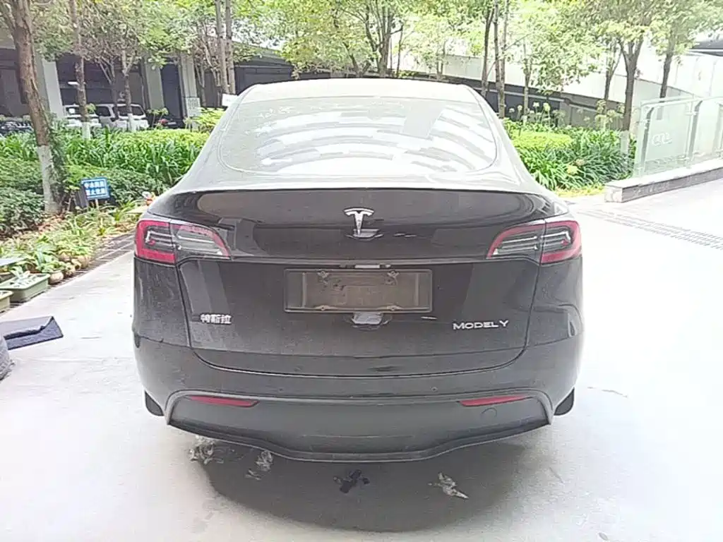 Tesla Model Y — миниатюра 6
