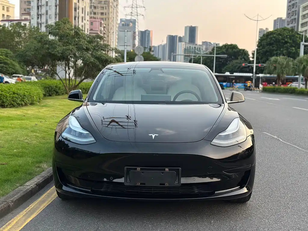 Tesla Model 3 — миниатюра 2