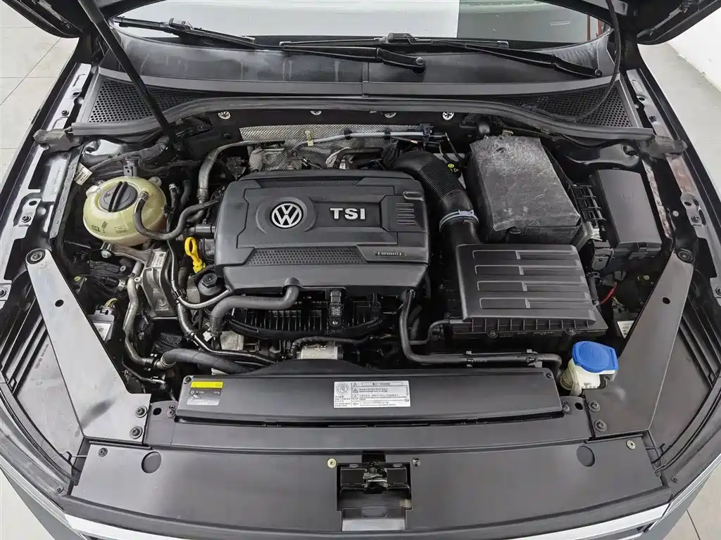 Volkswagen Magotan 2018 330TSI DSG Luxury
