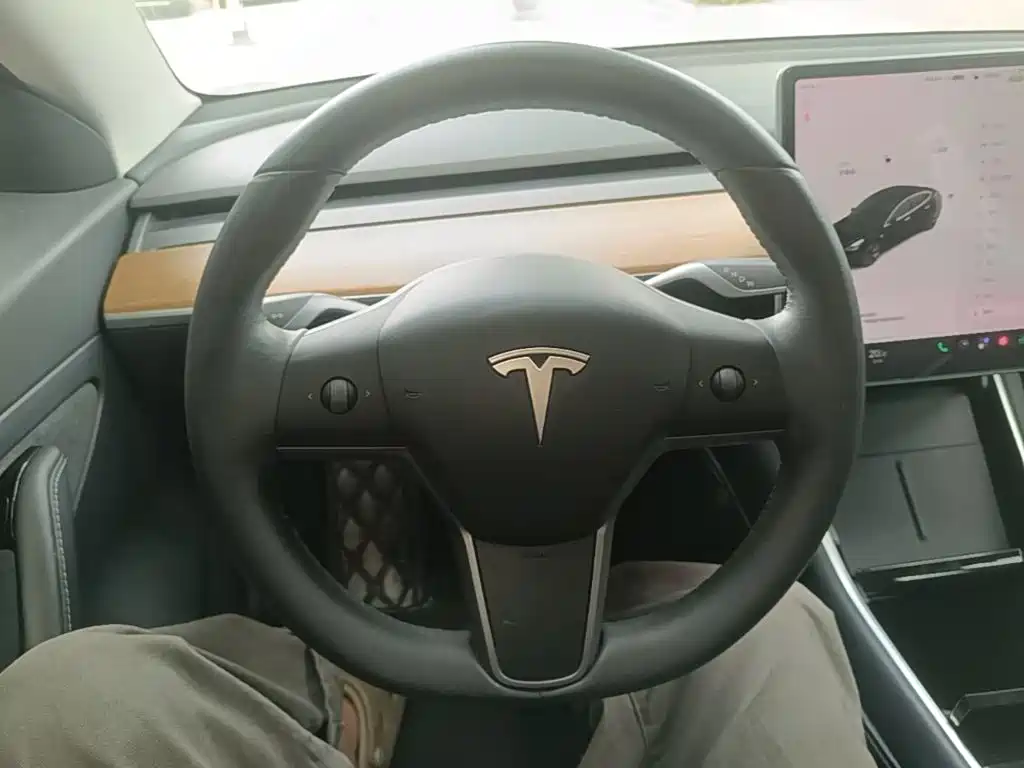 Tesla Model 3 — миниатюра 11
