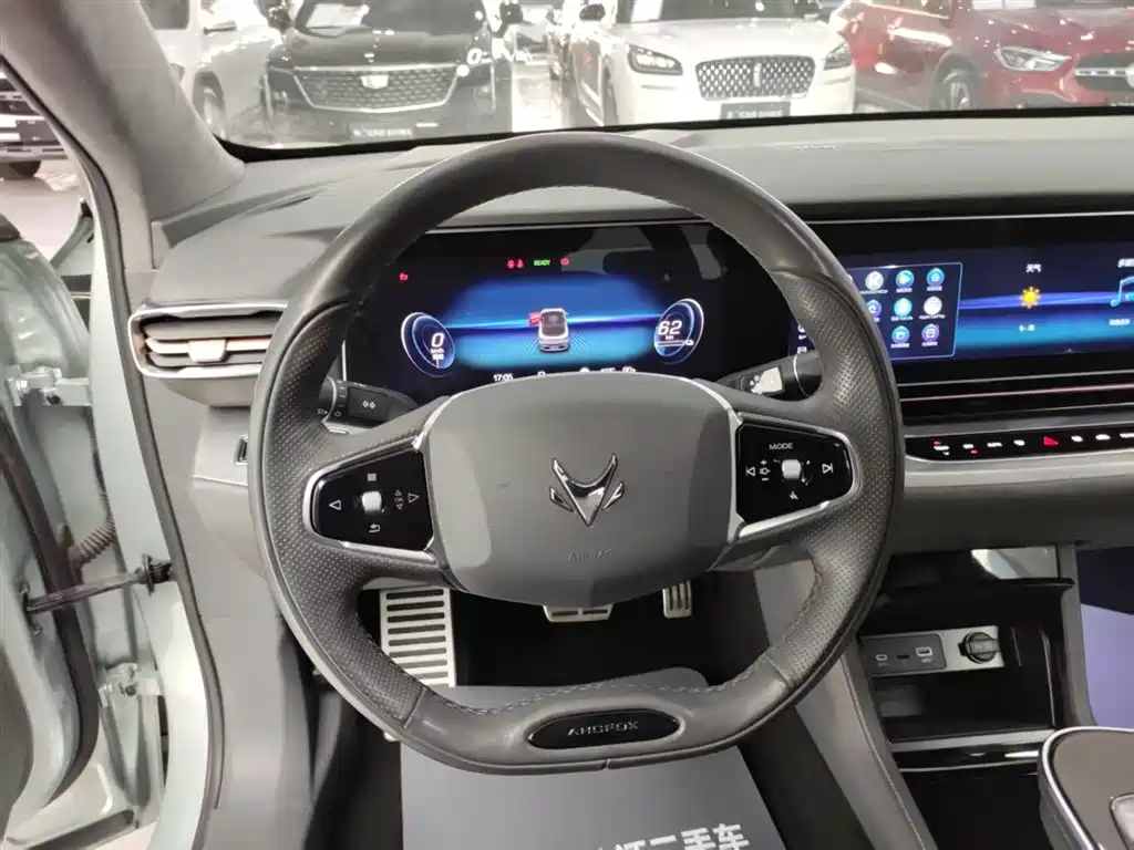 ARCFOX EXTREME FOX POLAR FOX ALPHA S