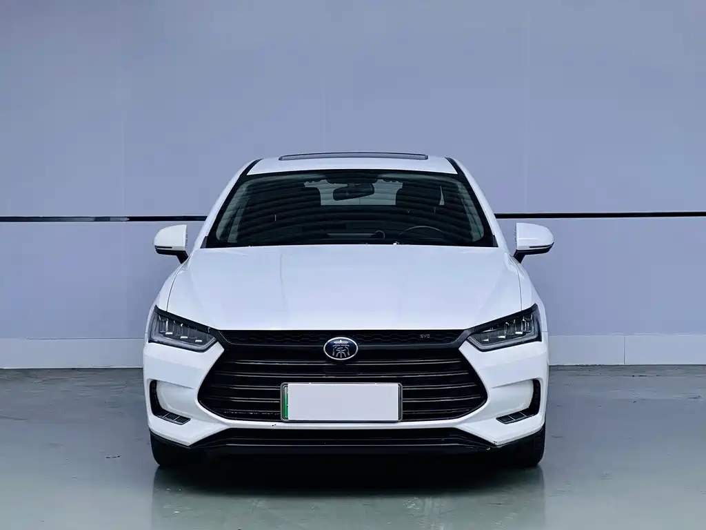 BYD Qin Pro NEV — миниатюра 2