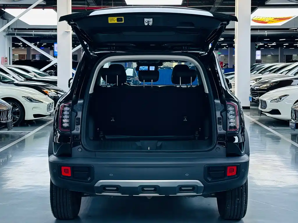 Haval Big Dog — миниатюра 11
