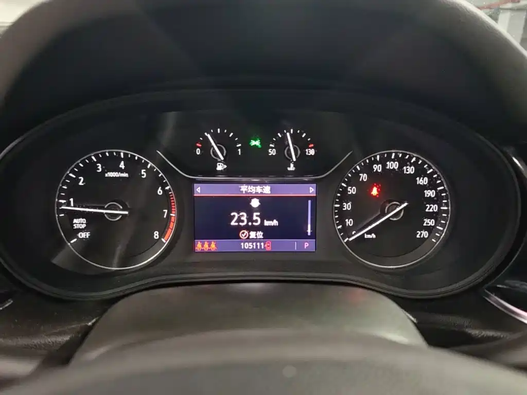 Buick Regal — миниатюра 12