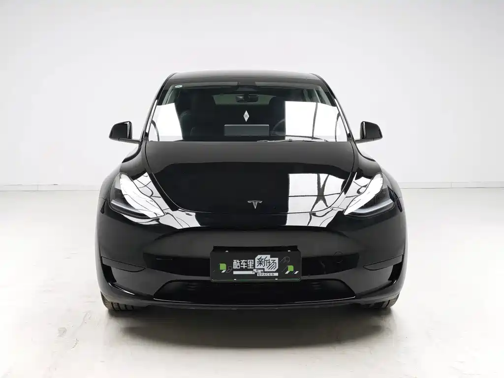 Tesla Model Y — миниатюра 2