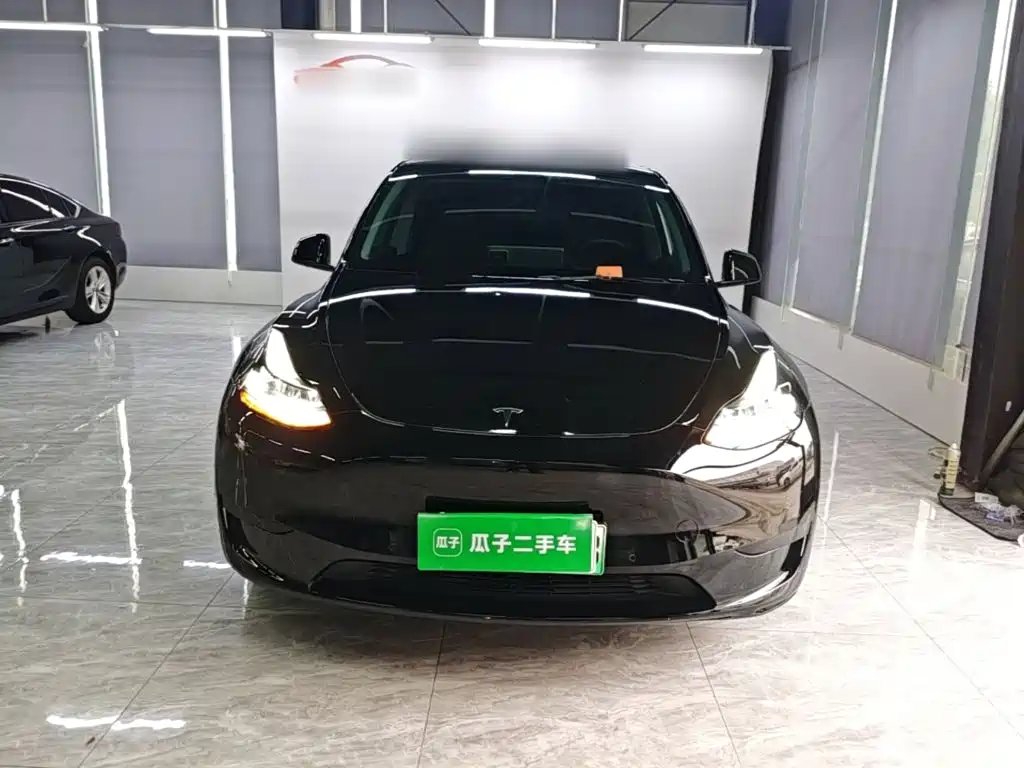Tesla Model Y — миниатюра 3