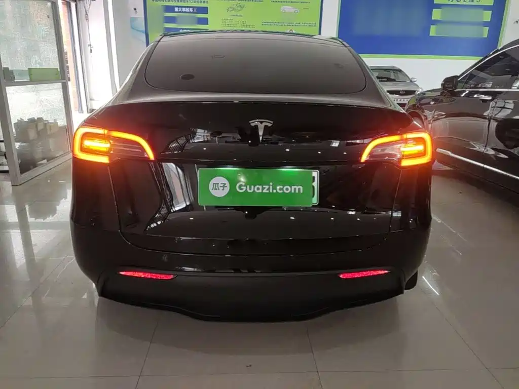 Tesla Model Y — миниатюра 4