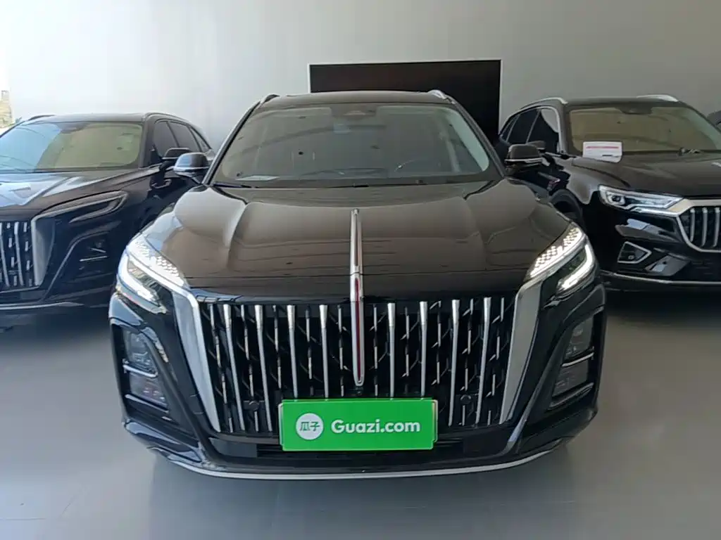 Hongqi Hongqi HS3 PHEV — миниатюра 3