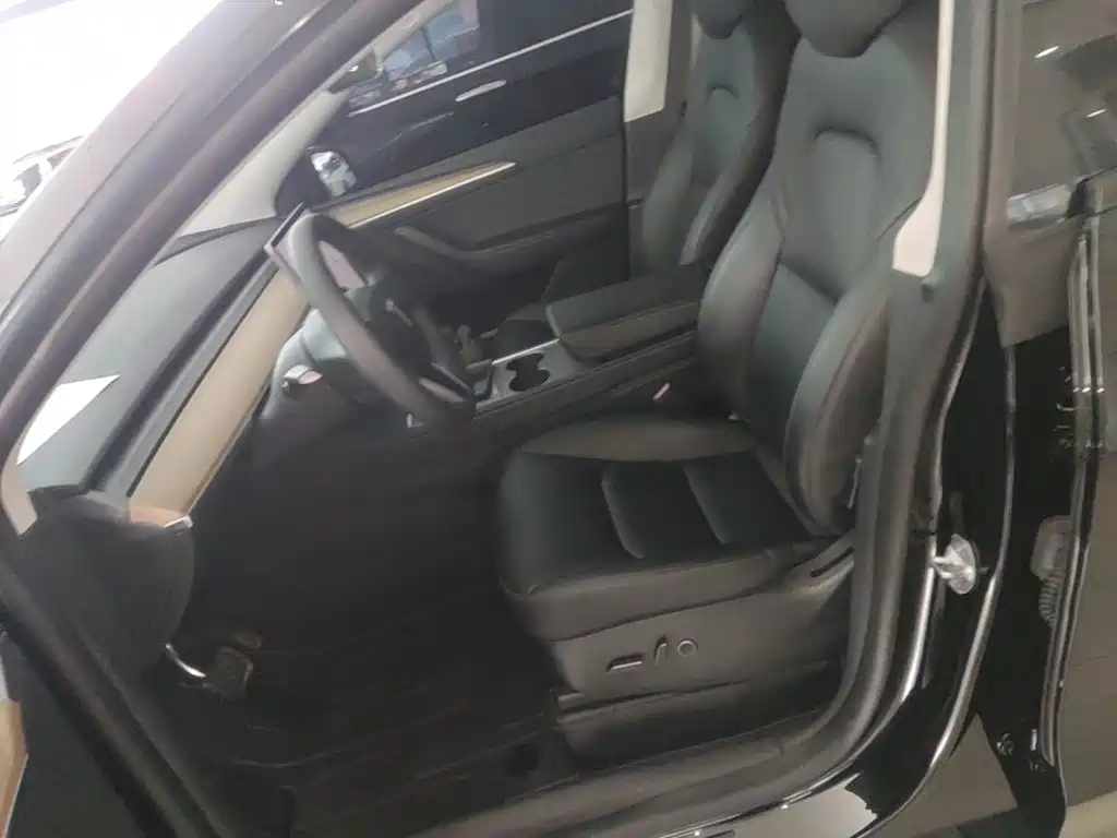 Tesla Model Y — миниатюра 11