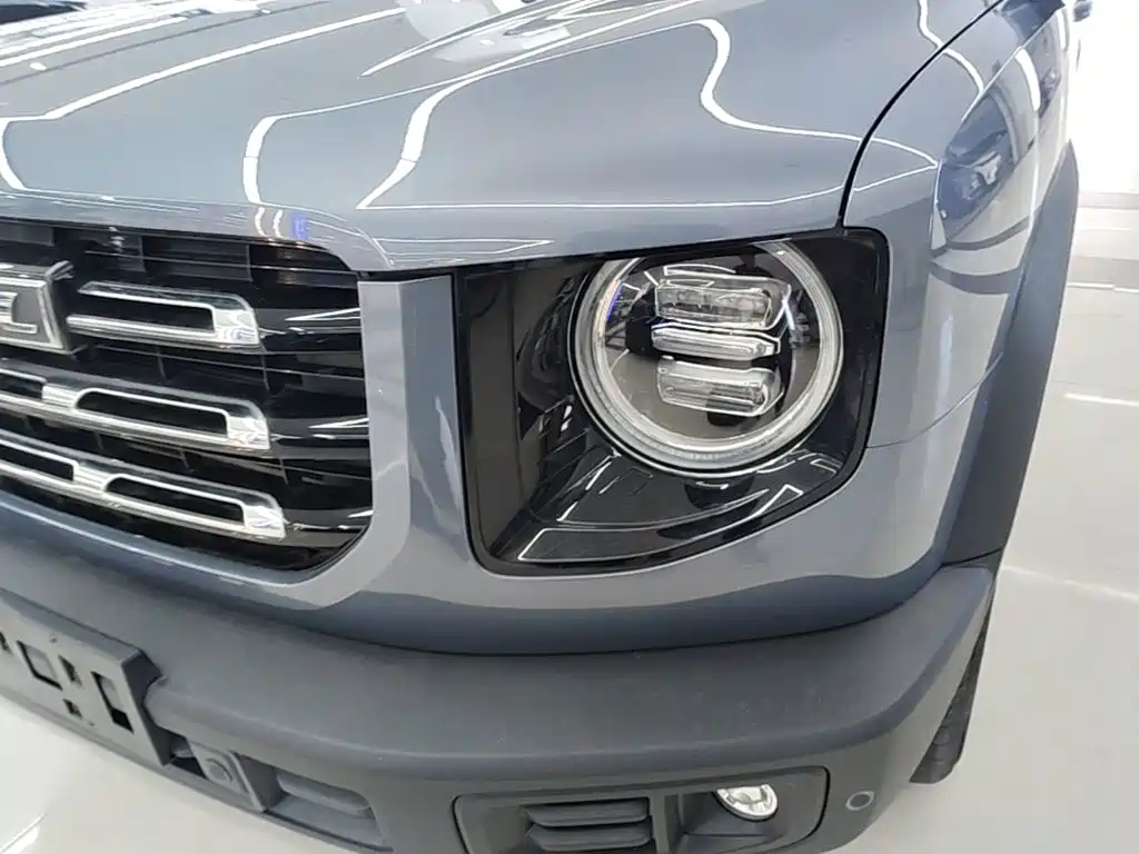 Haval Big Dog — миниатюра 24