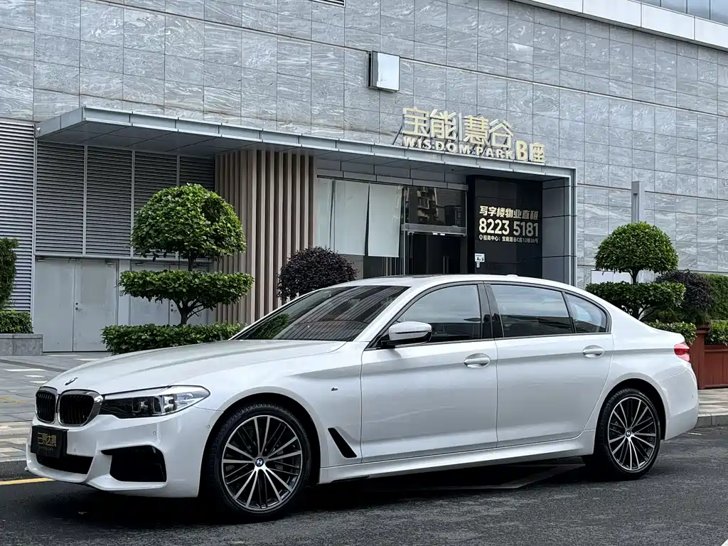 BMW 5 Series 2019