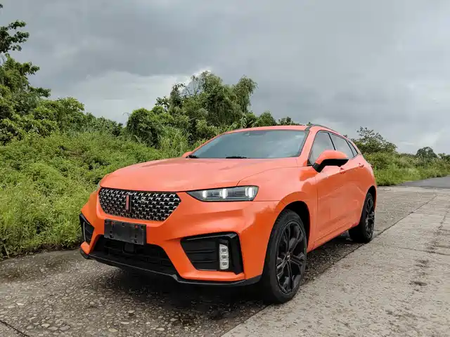 2019 Wey VV7