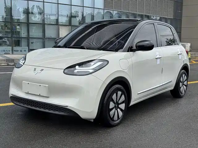 2024 Wuling Motors Binguo