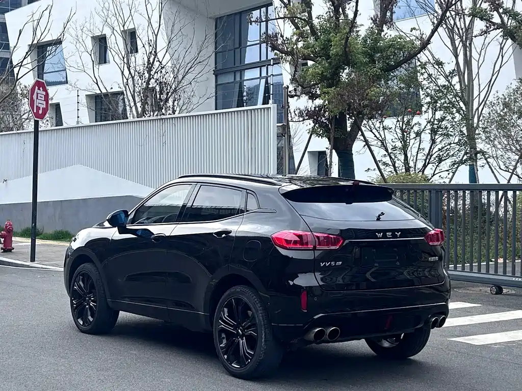 WEI PAI WEI BRAND VV5