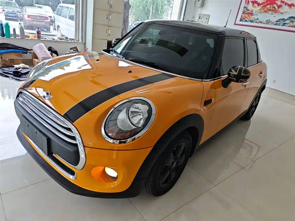 Mini Mini 2017