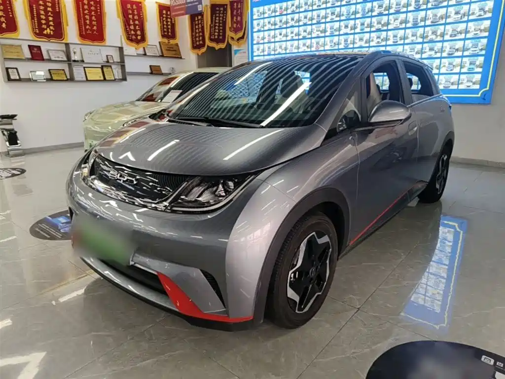 Byd Dolphin 2022