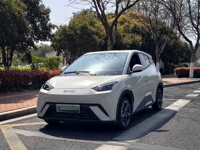2024 BYD Seagull