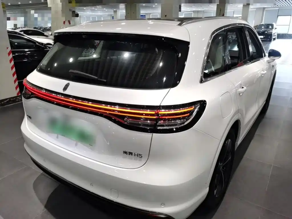 Shangjie Shangjie H5 — миниатюра 7