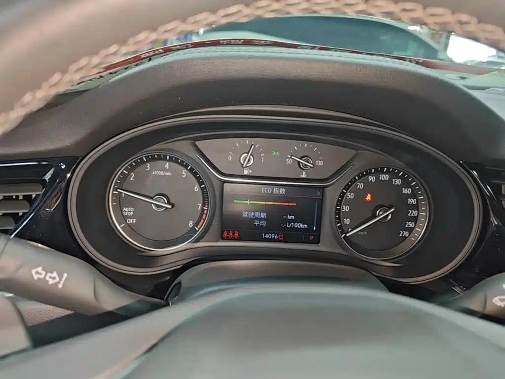 Buick Regal — миниатюра 12