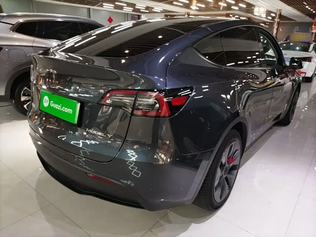 Tesla Model Y — миниатюра 7