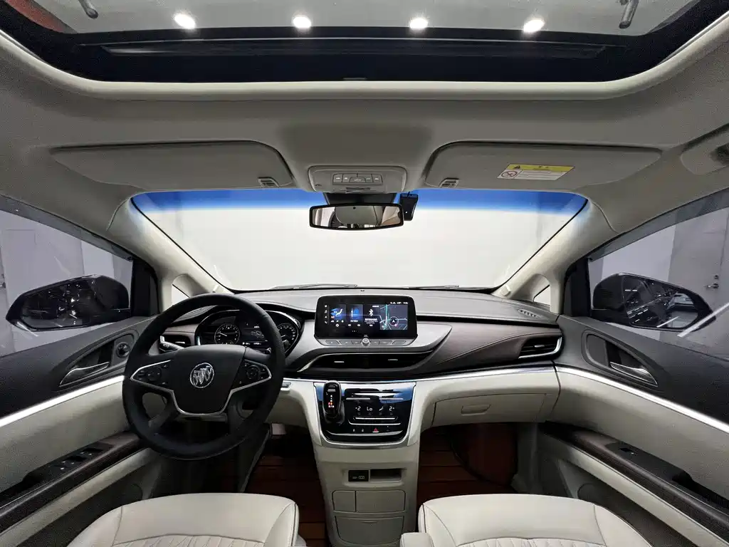 Buick GL8 — миниатюра 6