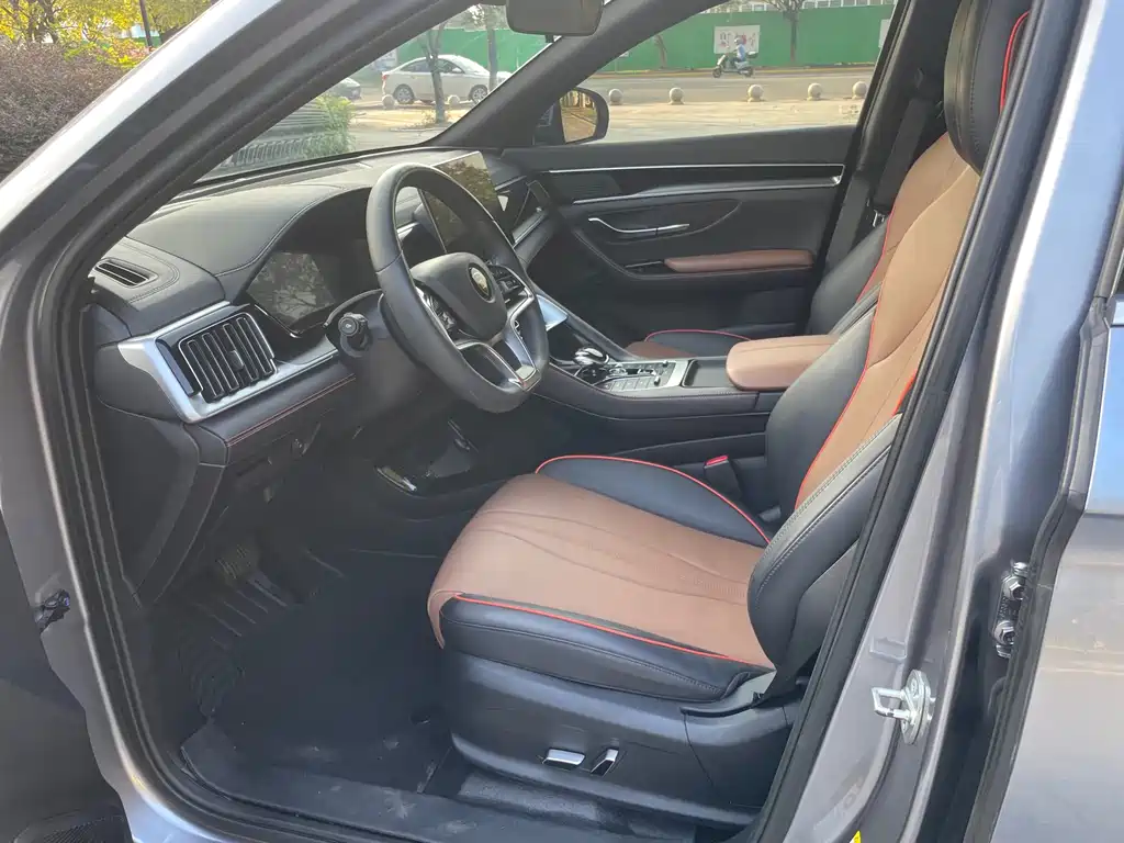 BYD PLUS — миниатюра 12