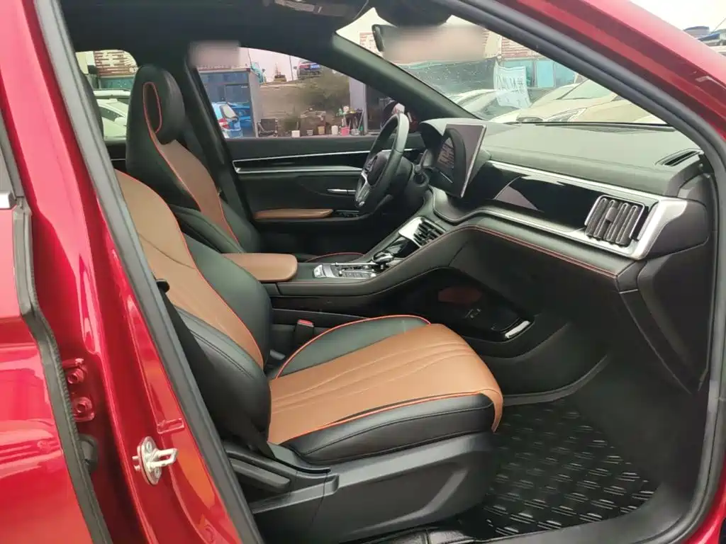 BYD PLUS — миниатюра 25