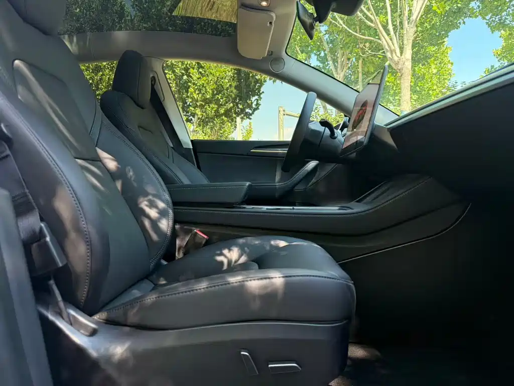 Tesla Model Y — миниатюра 10