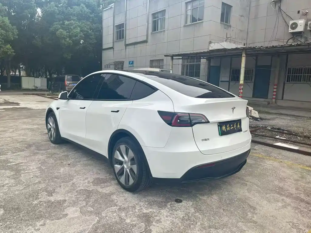 Tesla Model Y — миниатюра 9