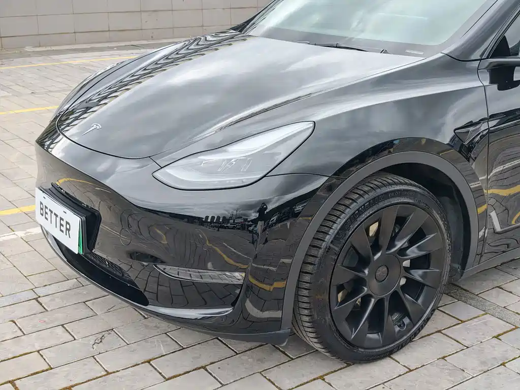 Tesla Model Y — миниатюра 3