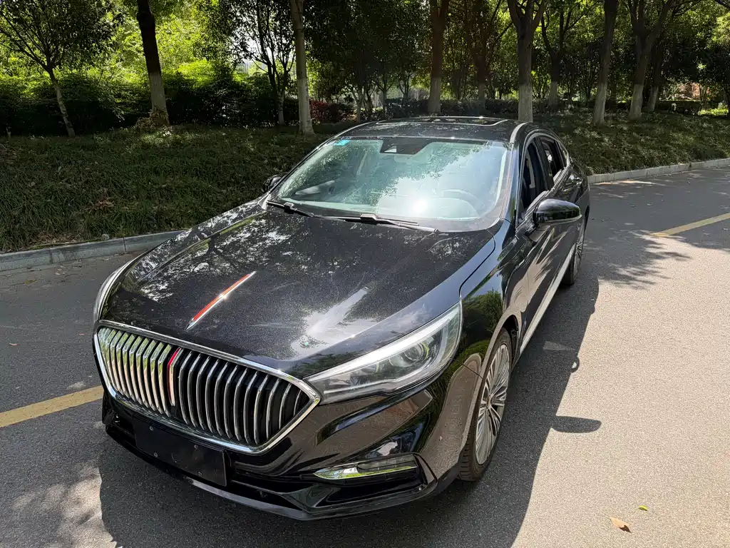 Hongqi Hongqi H5 2023