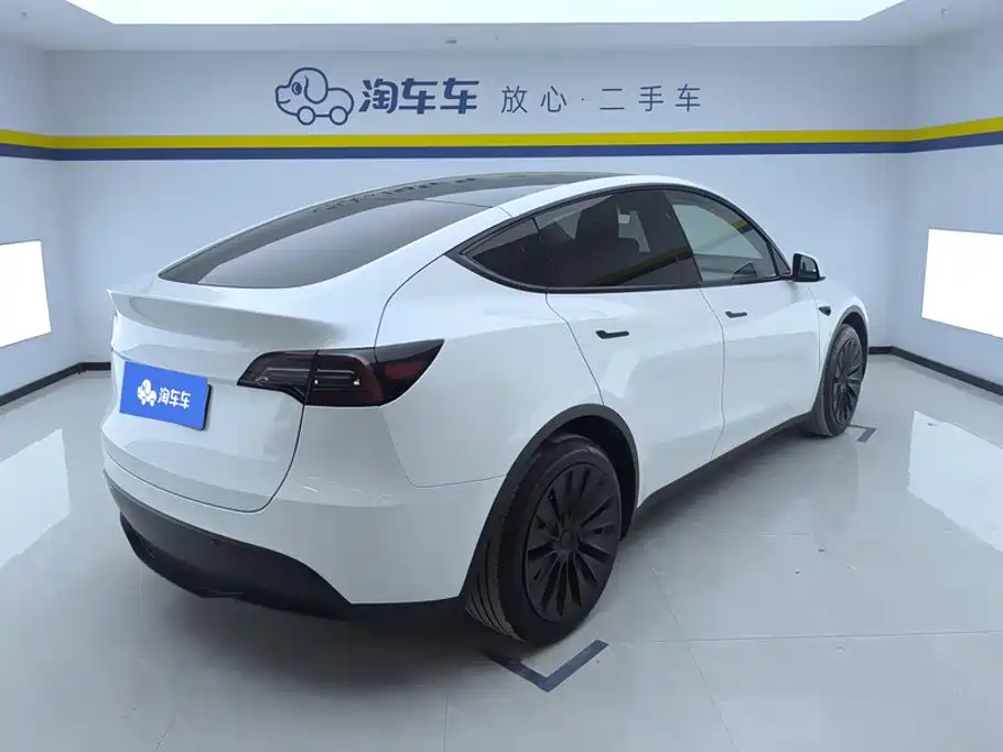 Tesla Model Y — миниатюра 3