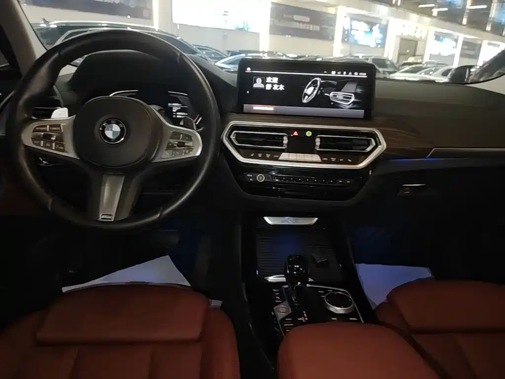 BMW X3 — миниатюра 6