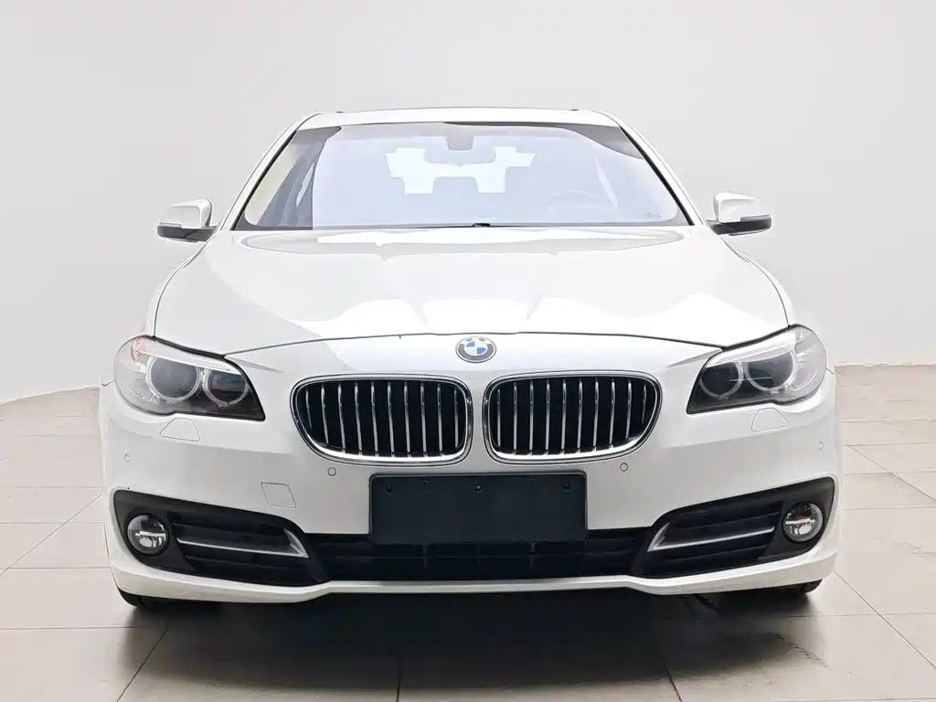 BMW 5 Series 5 2017 525Li Lead