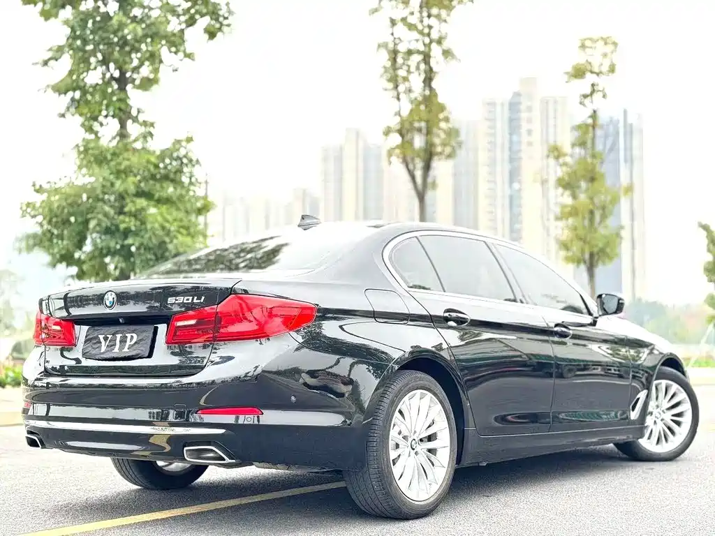 BMW 5 Series 5 2020 530Li Premium Luxury