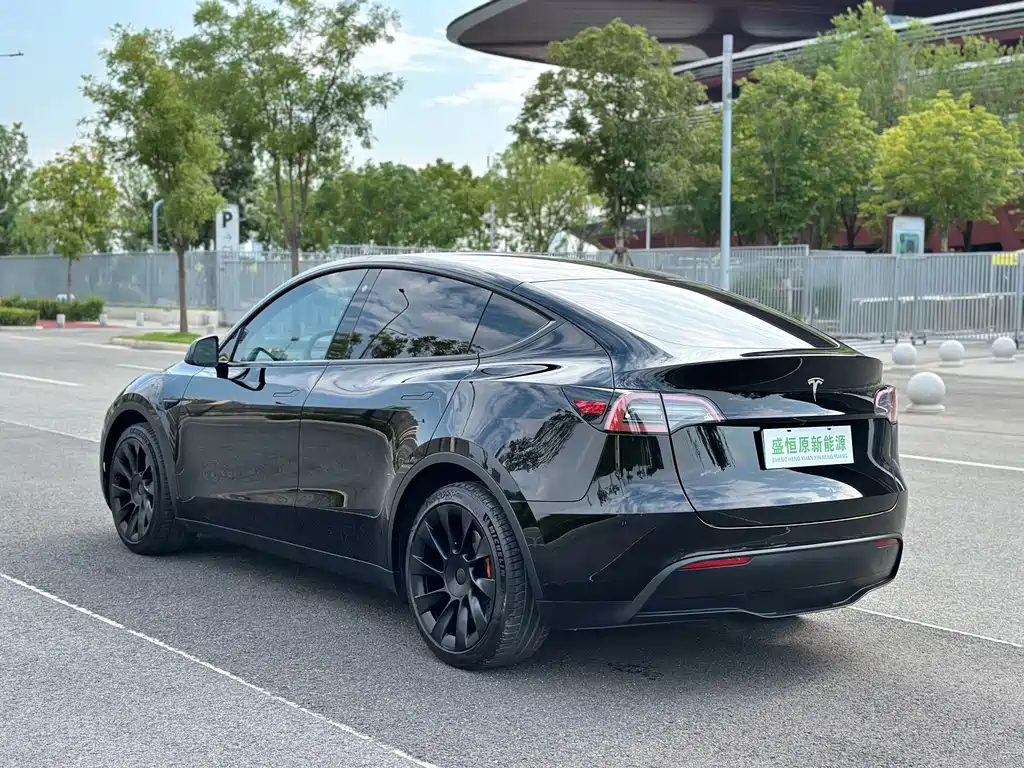 Tesla Model Y — миниатюра 6