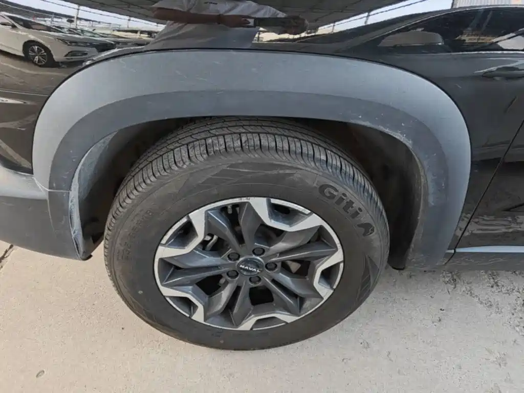 Haval Big Dog — миниатюра 23