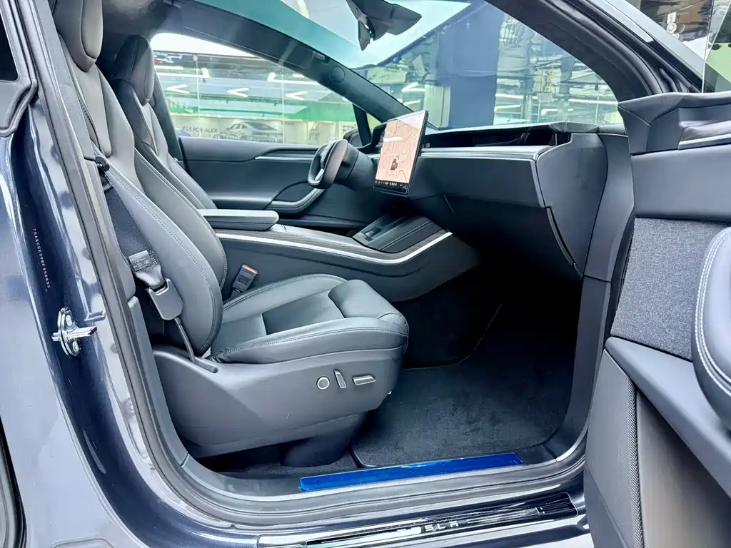 Tesla Model X — миниатюра 10