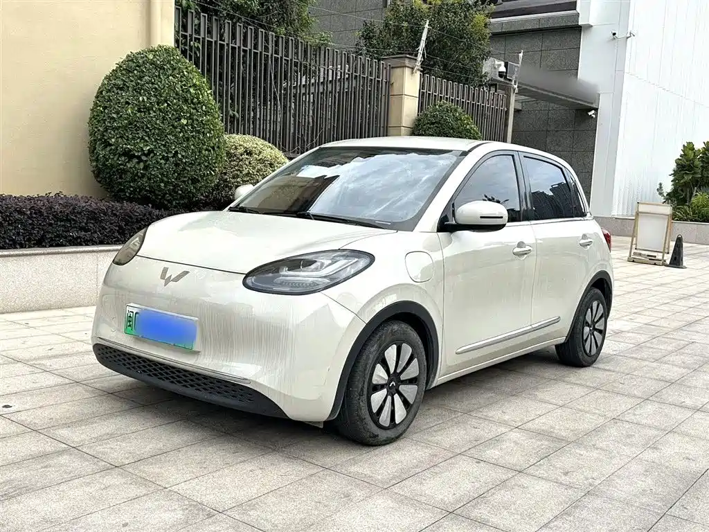 Wuling Bingo 2024