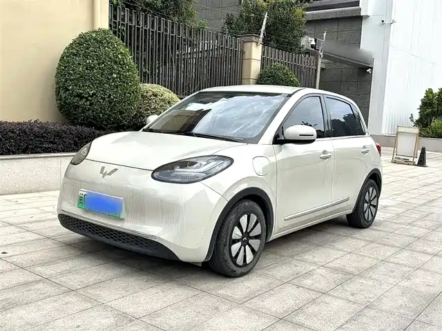 2024 Wuling Motors Binguo