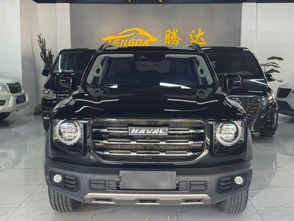 Haval Big Dog — миниатюра 2