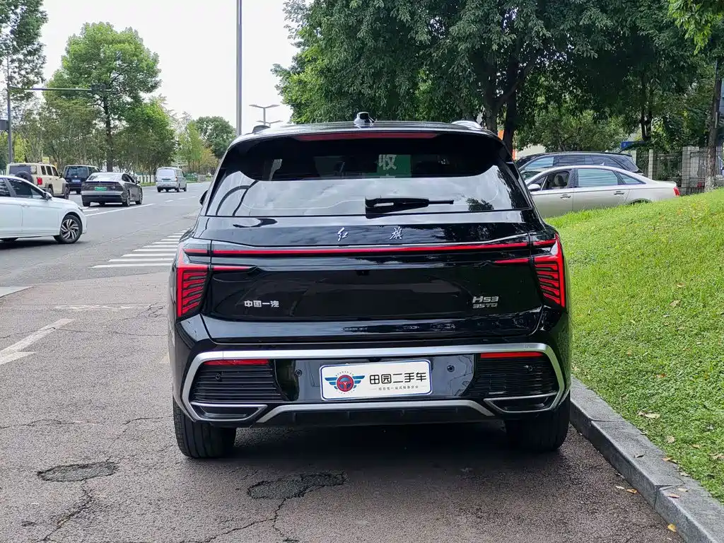 Hongqi Hongqi HS3 — миниатюра 5