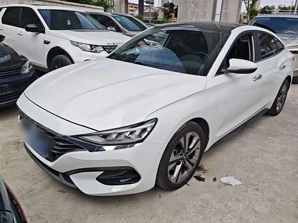 Hyundai Fista 2019