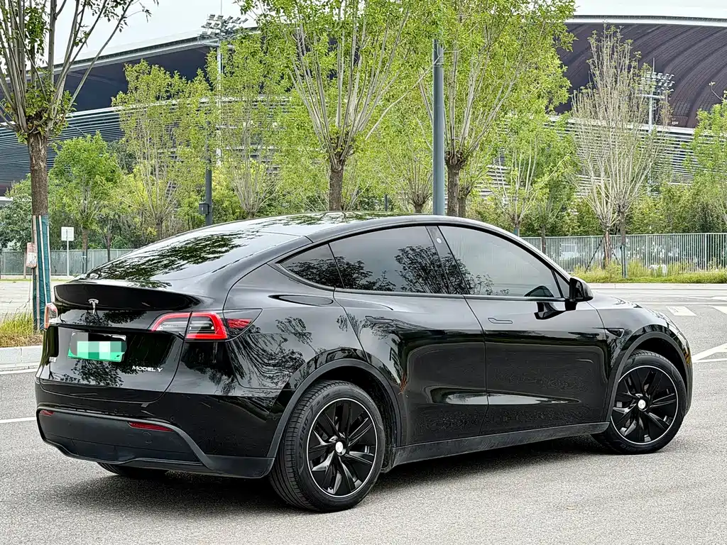 Tesla Model Y — миниатюра 6