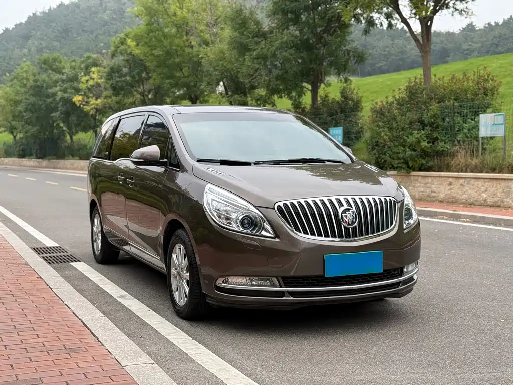 Buick GL8 — миниатюра 3
