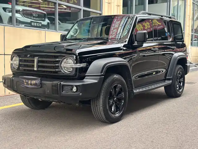 2021 TANK 300