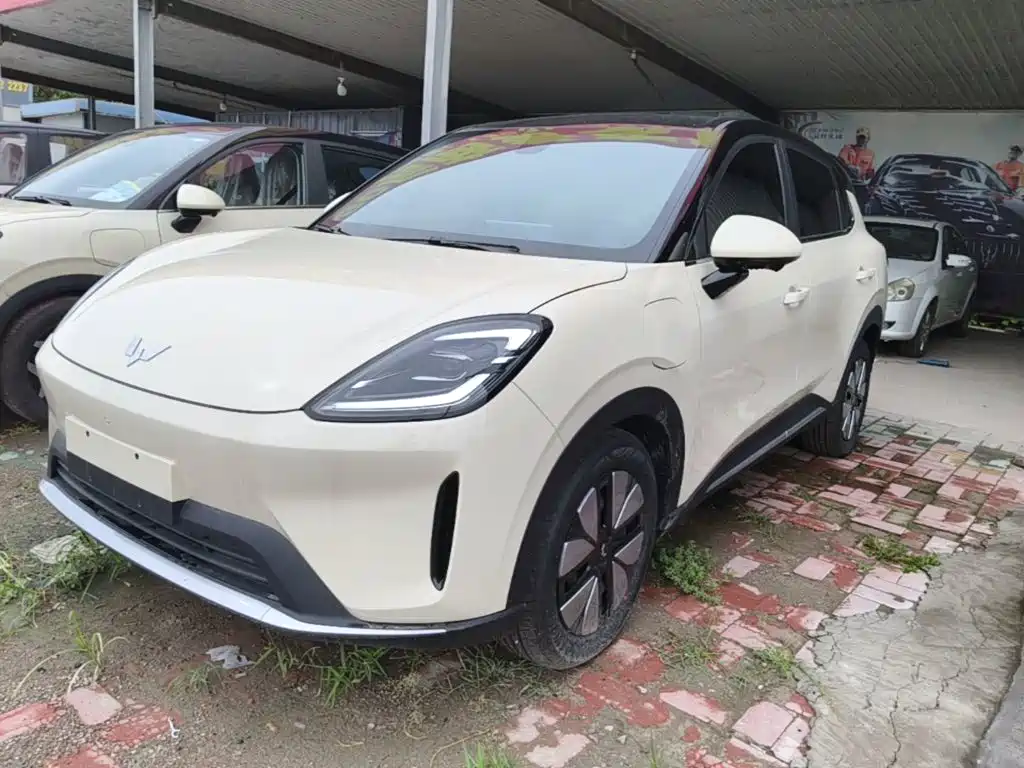 Wuling Binguo S