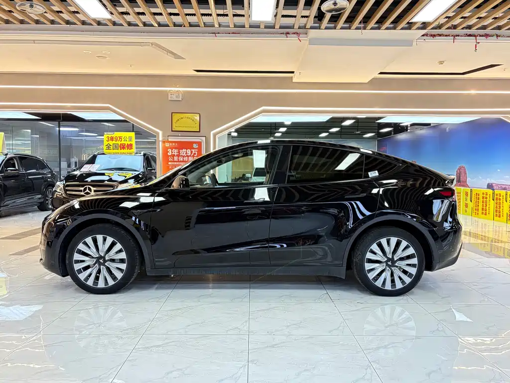 Tesla Model Y — миниатюра 2