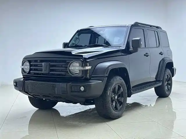 2024 TANK 300